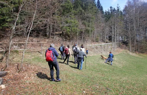 Krožna pot, dolga 1700 metrov, se začne na informacijski ploščadi pred 
gostiščem. Razgibana gozdna steza ima deset postojank, kjer si pohodniki lahko preberejo, vidijo, slišijo in poizkusijo marsikaj zanimivega.  
