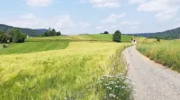 Vsak dan zaradi urbanizacije izgubimo za eno kmetijo kmetijskih 
zemljišč (7 ha).