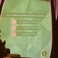 Kaj storiti, če srečate medvedko?