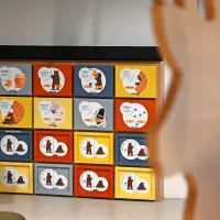 Kaj storiti, če srečate medvedko?