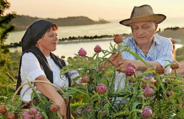 V znamenju dobrot iz artičok