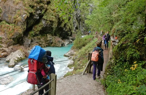 Obisk v Tolminskih koritih se je lani že približal številki 100.000 gostov. 