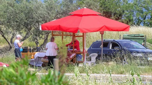 Včerajšnji prizor s stojnice   ob regionalni cesti na Belvederju na  
zasebnem kmetijskem zemljišču: sadje kupujejo večinoma tujci, a  
tudi Slovenci.