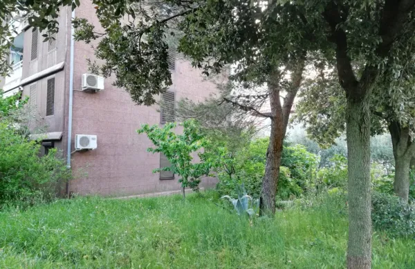 Še pred dnevi je bila zelenica v Ulici Alojza Valenčiča v Livadah 
videti takole.  