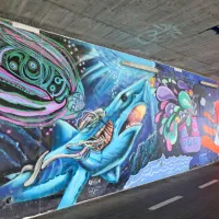 Koprska živopisna urbana platna