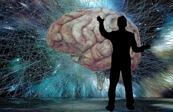  Družba Neuralink bo kmalu začela testirati možganske vsadke na ljudeh, družba Synchron pa to že počne.