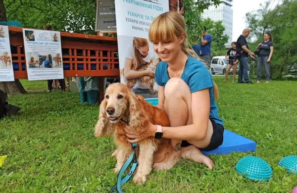 Ko mesto za en dan postane dežela živali in prijateljev