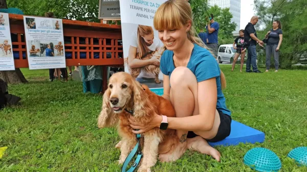 Ko mesto za en dan postane dežela živali in prijateljev
