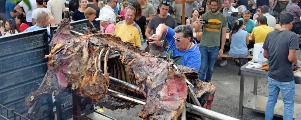 Peter Kante je od jutra do večera bdel nad pečenjem 800-kilogramske junice.