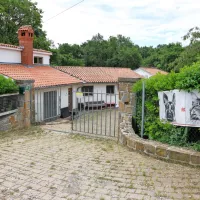 Obalno zavetišče za živali v Dvorih nad Sv. Antonom upravlja 
Marjetica Koper. 