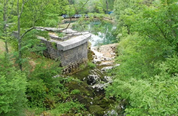 Rižanski izvir okrog 23. junija lani.