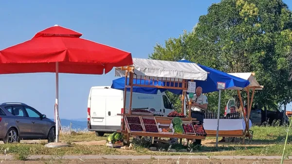 Nedeljski nadzor nad stojnico na zasebnem zemljišču na Belvederju ob glavni cesti Jagodje-Strunjan ...