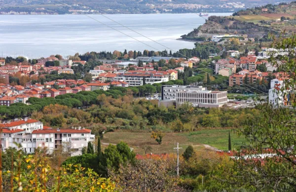 Zemljišče v zahodnih Livadah, na katerem naj bi zraslo še  170 
stanovanj. Prejšnji župan Danilo Markočič je sprva  tam snoval 
neprofitna stanovanja, njegov predhodnik Igor Kolenc pa vrstne 
hiše. 