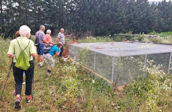 Jerebičja družina se je v remizi skrila pred obiskovalci, samček pa 
je pokazal, kdo je glavni.