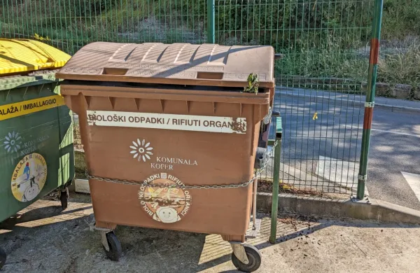 Kruta  smrt  še  ne  enoletne  pitbulke, ki  jo  je  Koprčan  odvrgel  v zabojnik, še  vedno močno odmeva.  