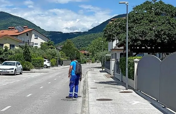 V Novi Gorici in okolici so sredi junija že začeli akcijo, vajo bodo ponovili ta teden.  Enako napovedujejo v Šempetru in Vrtojbi. 