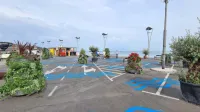 Marjetica je včeraj na Ukmarjev trg  pripeljala oljke  v koritih ter 
zelene stolpe z rožami in zelenjem, namestili so tudi klopi. 