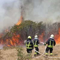 V gašenju požara je sodelovalo več kot 300 poklicnih gasilcev in skoraj 15.000 prostovoljnih gasilcev iz vse Slovenije, ki so 
se neustrašno spoprijeli z ognjenimi zublji. 