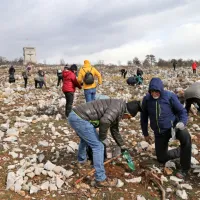 Na požarišču so  doslej tudi s pomočjo prostovoljcev posadili 
20.000 sadik in posejali tono semen različnih drevesnih vrst. 