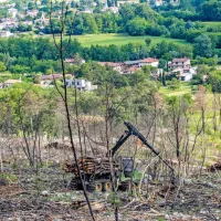 Preden bo pobočja znova pokril gozd, bodo minila desetletja. 