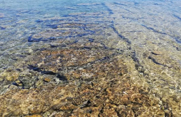 Jadransko morje ima skoraj 30 stopinj, v Kopru 29