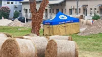 Včeraj so k letalski bombi pripeljali prve bale sena. 