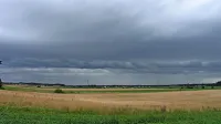 Neurja so žal postala poletna stalnica.