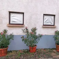 Toča je poškodovala okna.