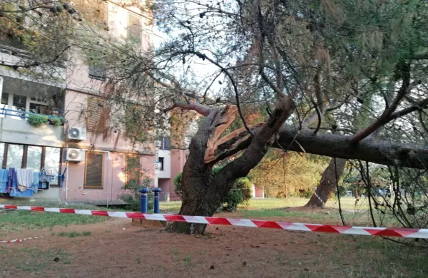 Pinije zlomilo gorivo