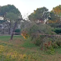 Pinije zlomilo gorivo