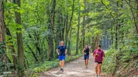 Panovec je v vseh letnih časih priljubljena rekreacijska oaza za 
Novogoričane in tudi za prebivalce sosednje Gorice.