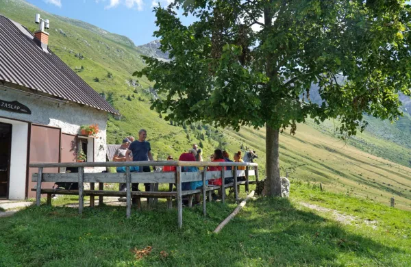 Vili Ivančič je edini oskrbnik nekoč velike planine Zaslap. Na skoraj 
1400 metrih še danes prideluje sir in skuto in ju prodaja 
pohodnikom. 