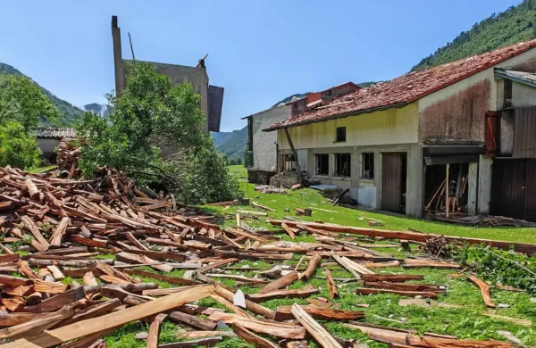 Pretirano izkoriščanje naravnih virov vodi v vedno hitrejši ekološki 
in podnebni propad Zemlje. 