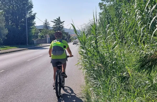 Prade: razraslo zelenje ob cesti ogroža kolesarje