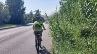 Prade: razraslo zelenje ob cesti ogroža kolesarje