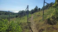 Zakupnik je kmetijsko parcelo sredi Resslovega gaja ogradil, 
čeznjo pa vseeno pustil odprto pot. 