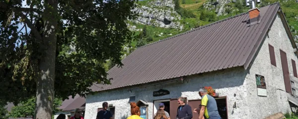 Na planini Zaslap lahko planinci kupijo domač sir in skuto. 