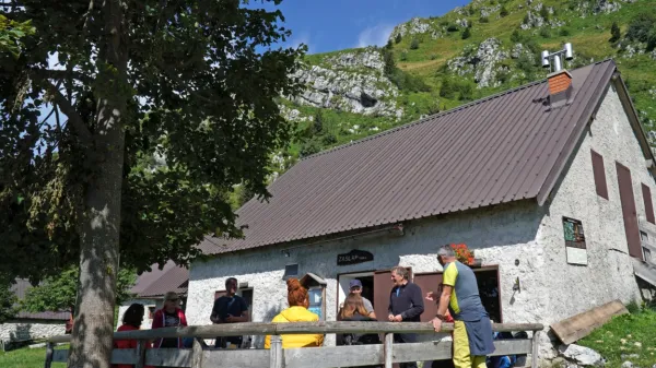 Na planini Zaslap lahko planinci kupijo domač sir in skuto. 