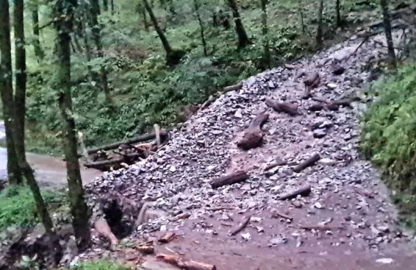 Plaz je  turistom in domačinom za dve uri zaprl izhod iz  doline Polog.  
