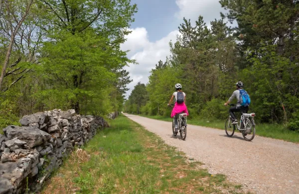 Kras in Brkini so raj za kolesarje, a regija še vedno ne diha s 
kolesarskim turizmom.