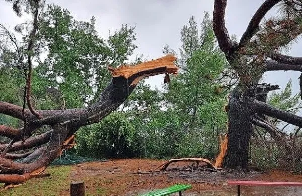 Polomljena drevesa razdejala zdravilišče na Debelem rtiču (FOTO)