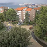 Po cesti med bloki na Markovcu se je v ponedeljek vila blatna brozga.