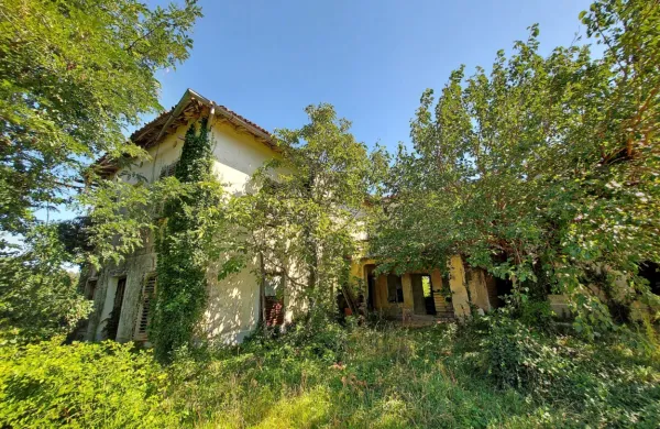 Razpadajoča Gradnikova domačija je vse bolj zaraščena in že 
dolgo sramota Medane. Zdaj pa kaže, da se bodo uresničile 
napovedi in bodo tam postavili hotel in center poezije. 