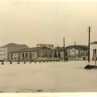 Semedelska promenada pod vodo novembra 1951 (SI PAK/0344, 
Zbirka fotografij in razglednic, t. e. 8)