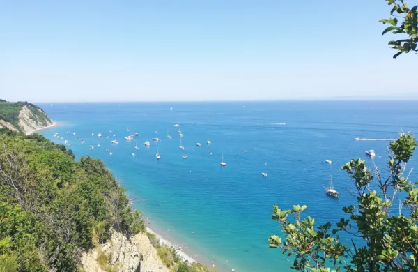 Jutri, na dan vrnitve Primorske k matični domovini, se bo nebo 
nad Primorsko razjasnilo. 