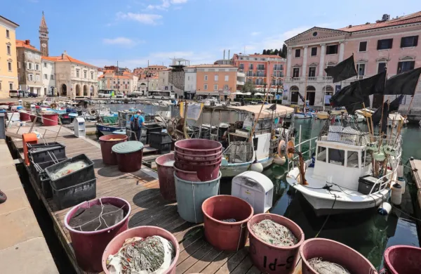 Sodobni slovenski ribič težko preži brez gospodarske dejavnosti, 
ki jo opravlja ob ribištvu.  