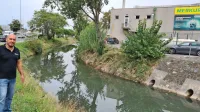 Hakim El Khiar ocenjuje, da se je v starem pritoku Badaševice že 
začel proces gnitja - opaziti je temnejšo obarvanost vode, ob strugi 
pa se širijo neprijetne vonjave.