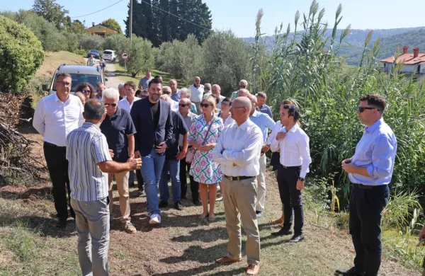 Začenja se oljkarska sezona, “svojo” oljko obirali tudi župani (FOTO)