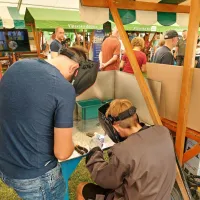 Dan ajdovske industrije in podjetništva letos obarvan zeleno, trajnostno in digitalno (FOTO)