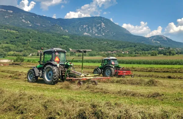 Območje OOTT zajema dobršen del dna Vipavske doline, tudi 
meliorirane površine.